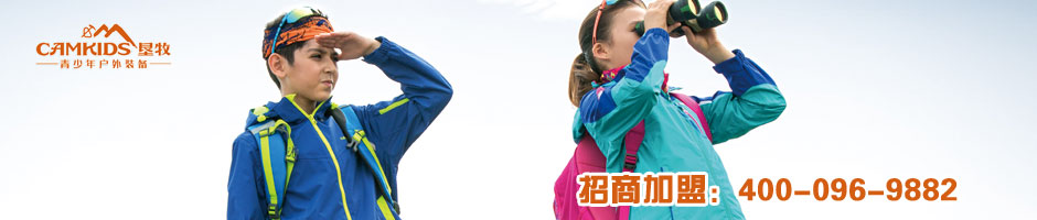 骆驼广告图